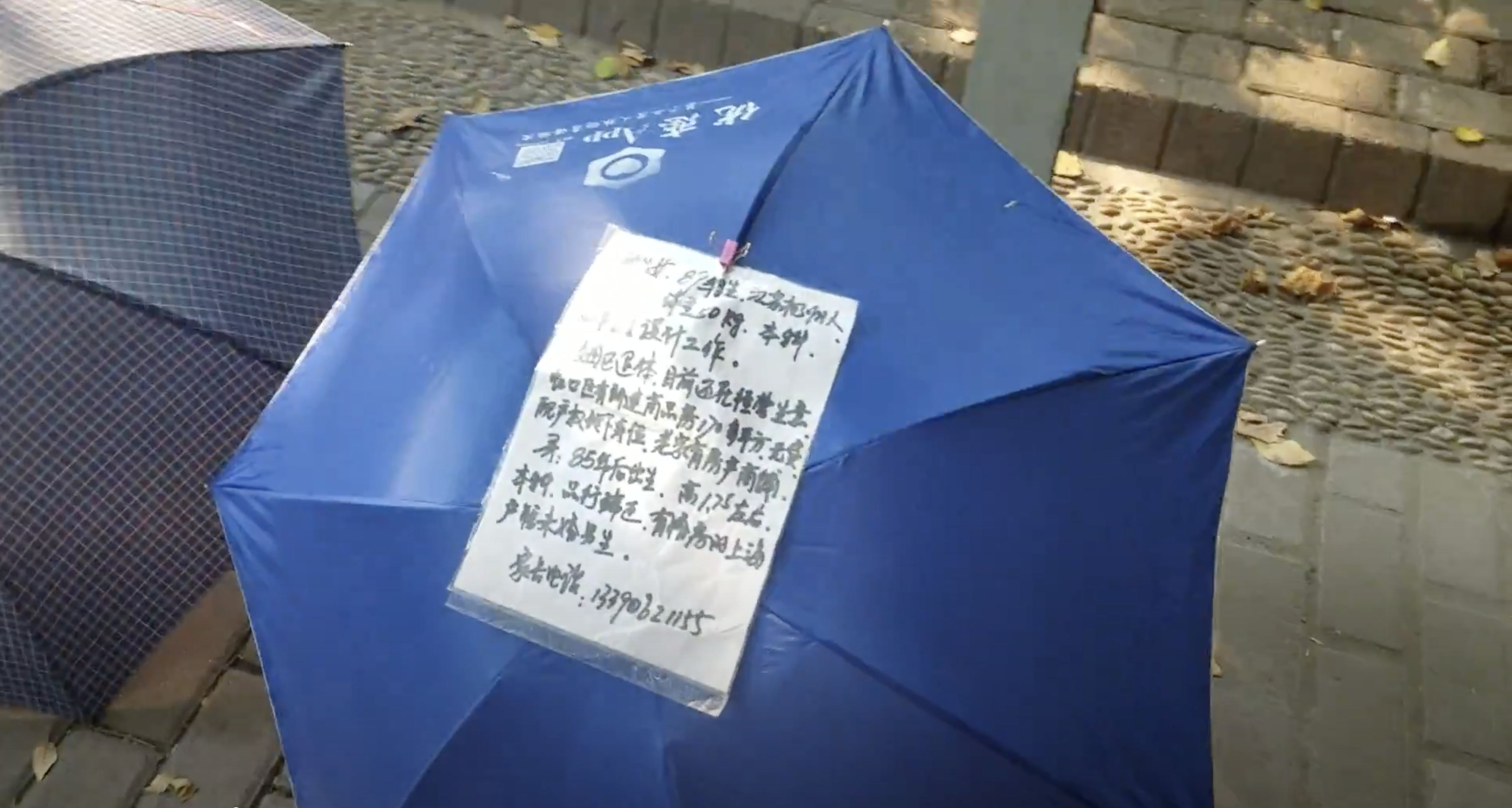 Paulie's sad about the money